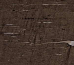 Cygnus Granite