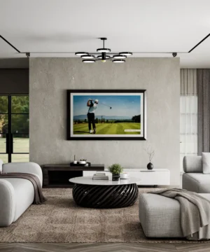 Stanford Entertainment Mirror TV